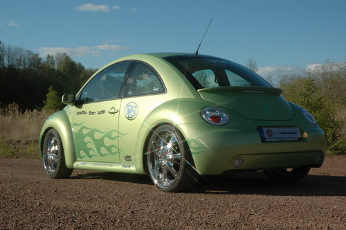 VW New Beetle хамелеон